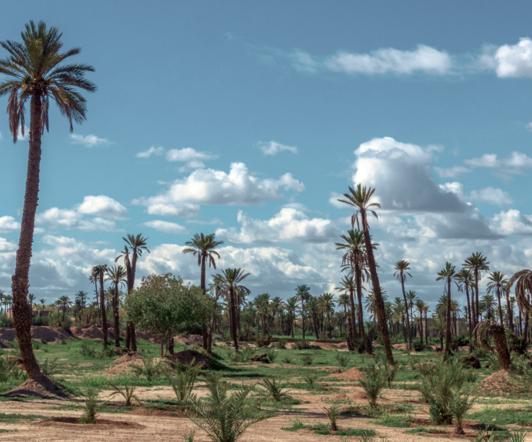 VANEAU MARRAKECH REAL ESTATE 