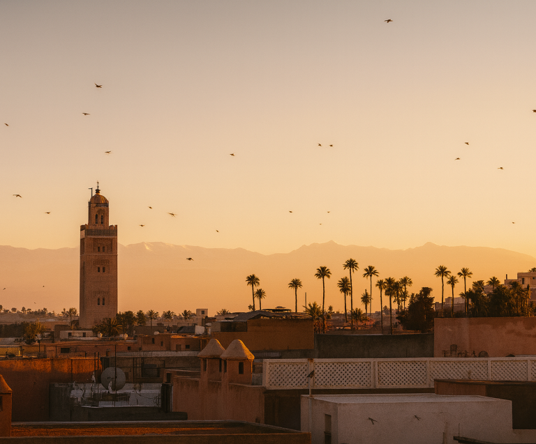 Vaneau real estate Marrakech 