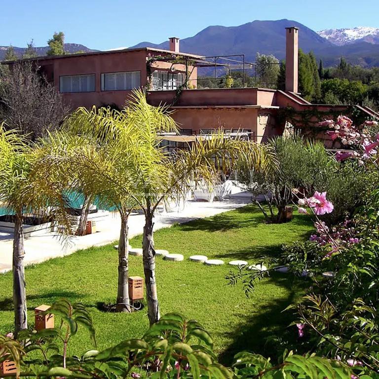 Superbe Ecolodge/Maison d'hôte au coeur du haut Atlas