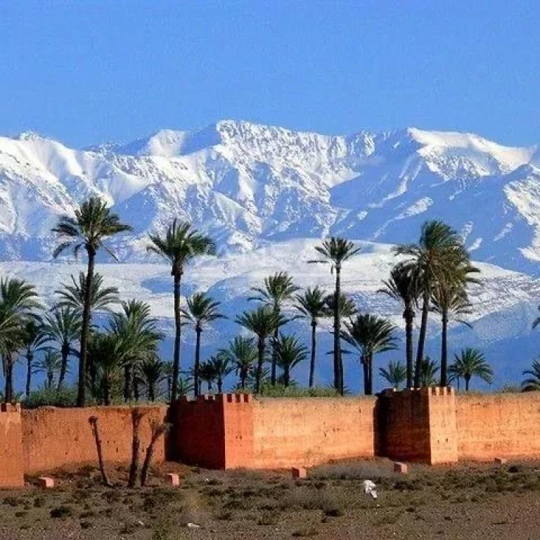**À Vendre : Terrain Titré à Marrakech - Opportunité Investissem