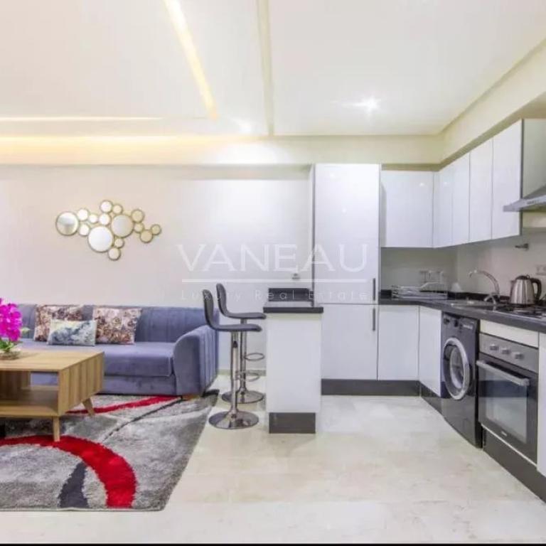 Appartement une chambre centre Gueliz