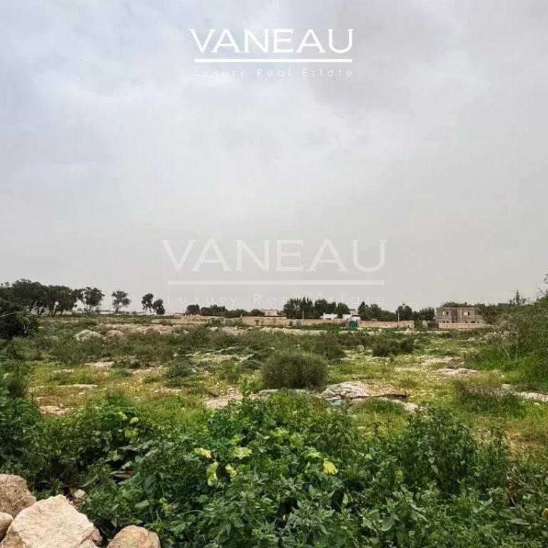 TERRAIN TITRÉ À LA VENTE – RARE À GHAZOUA