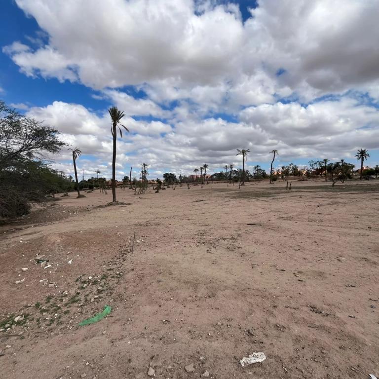 ***Terrain de 2,6 hectares dans la Palmeraie***