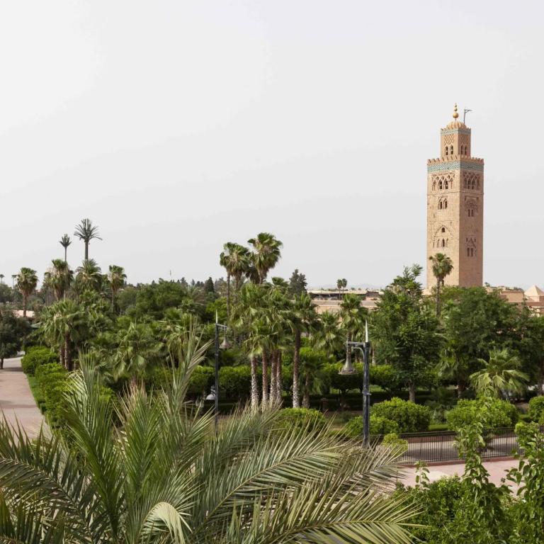 Emplacement Prime face à la Koutoubia