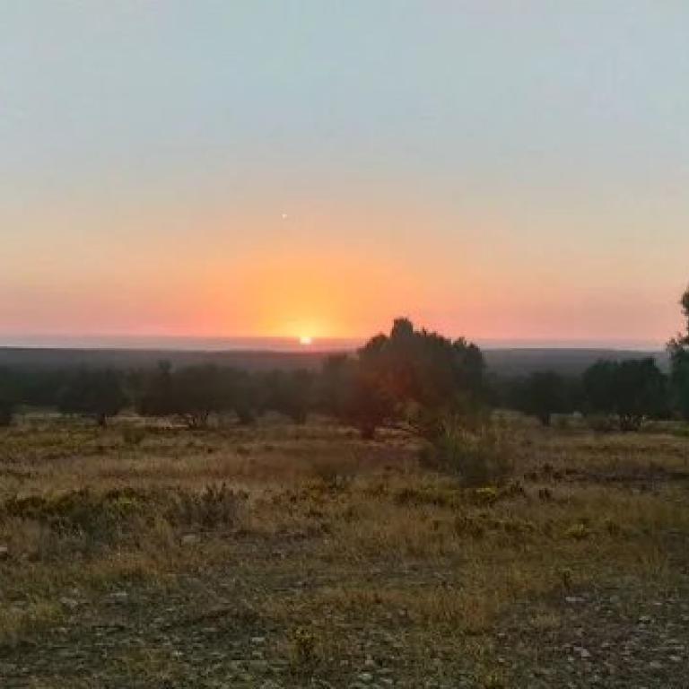 ***Terrain constructible AVNA Essaouira***