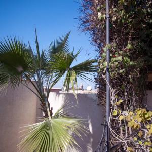 Véritable riad authentique de 8 suites en Médina