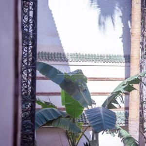 Véritable riad authentique de 8 suites en Médina