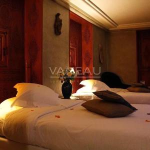 Splendide maison d'hôtes de 9 suites en Médina