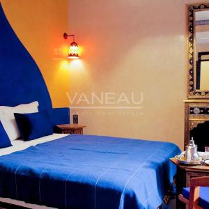 Trés beau riad maison d'hôtes 7 chambres en Médina