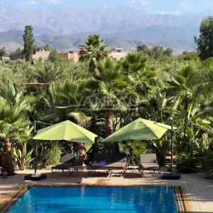 Un havre de paix au pied de l'Atlas sur 1 hectare avec VNA