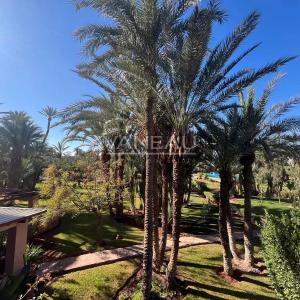 3 pièces Palmeraie dans belle résidence