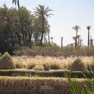PALAIS À VENDRE AU COEUR DE LA PALMERAIE DE MARRAKECH