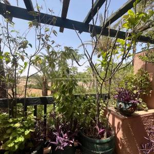 3 pièces Palmeraie dans belle résidence