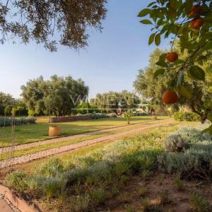 Un havre de paix au pied de l'Atlas sur 2 hectare avec VNA