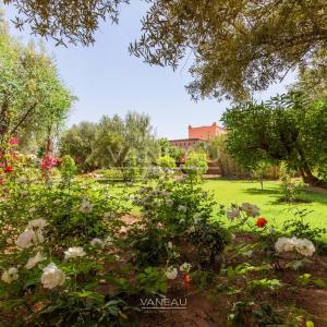 Un havre de paix au pied de l'Atlas sur 1 hectare avec VNA