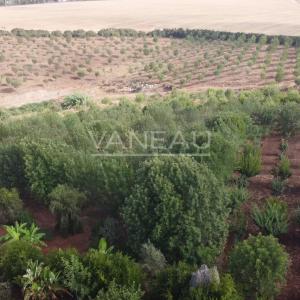 Maison d'hôte à vendre à Benslimane Maroc