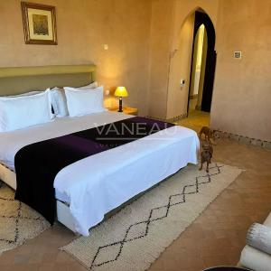 Magnifique maison d'hôte route des Fez Marrakech