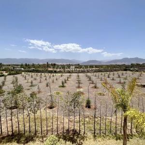 Villa de Plain-Pied sur un Hectare Arboré
