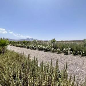 Villa de Plain-Pied sur un Hectare Arboré