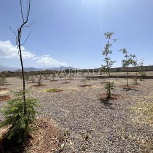 Villa de Plain-Pied sur un Hectare Arboré