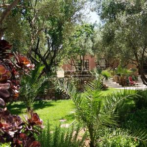 Superbe Ecolodge/Maison d'hôte au coeur du haut Atlas