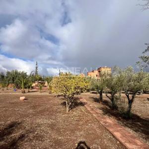 ***Maison VNA sur 6700m² de terrain Rte de l'Ourika***