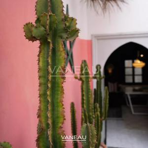 Riad de charme à vendre à Essaouira