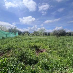 **** Terrain de culture Bio certifié et sa ferme ***