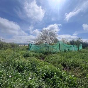 **** Terrain de culture Bio certifié et sa ferme ***