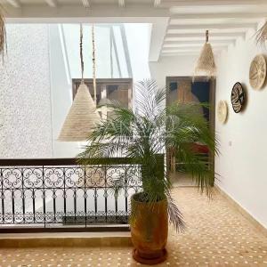 Très beau riad de 4 chambres Kasbah