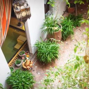 Riad Maison d'hôte, Marrakech