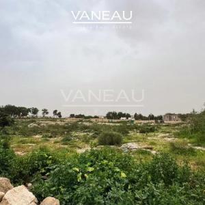 TERRAIN TITRÉ À LA VENTE – RARE À GHAZOUA