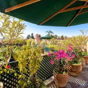 Magnifique maison d'hôtes de 11 suites en médina
