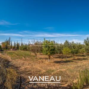 Villa aux allures de palais avec autorisation de maison d'hôtes sur la route de l'Ourika