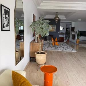 Appartement meublé avec grande terrasse à louer