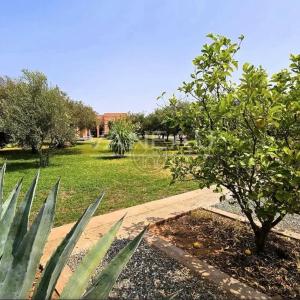 Beau Domaine a vendre avec AVNA , Sidi Abdelghiat