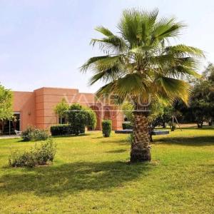 Beau Domaine a vendre avec AVNA , Sidi Abdelghiat