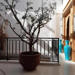 Beau riad 4 chambres  115 m2 à Sidi Mimoun