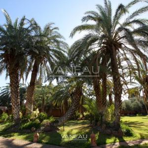 VILLA ARABO-ANDALOUS À VENDRE DANS LA PALMERAIE DE MARRAKECH