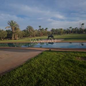 VENTE VILLA NEUVE SUR 2 HECTARES A SEULEMENT 15 MINUTES DE MARRA