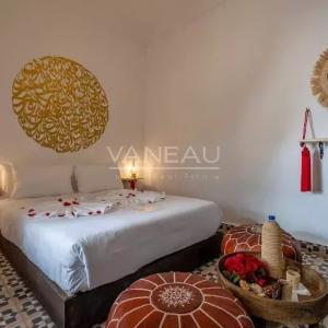 Magnifique riad maison d'hote de 10 chambres en médina