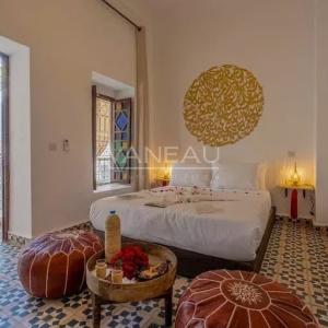 Magnifique riad maison d'hote de 10 chambres en médina