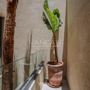 Somptueuse Villa Contemporaine