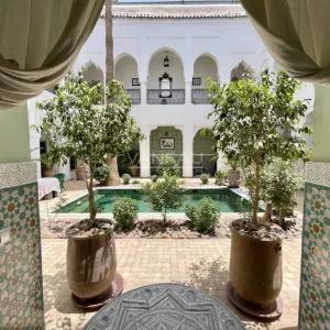 Riad d’exception – Grand patio avec piscine –