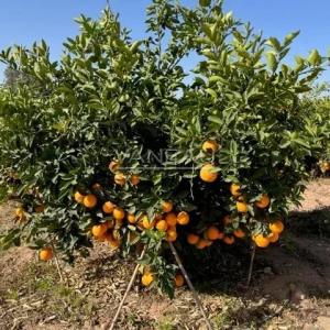 Propriété Exceptionnelle de 1000m2, 20Hectares de terrain