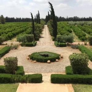 Propriété Exceptionnelle de 1000m2, 20Hectares de terrain