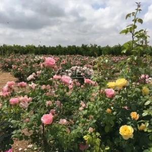 Propriété Exceptionnelle de 1000m2, 20Hectares de terrain