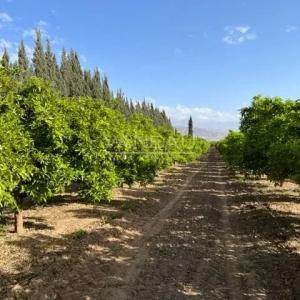 Propriété Exceptionnelle de 1000m2, 20Hectares de terrain