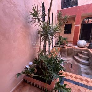 Grand riad en cour de rénovation Larousse/ Bab Doukala