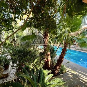 Maison de Maitre avec piscine 10 min du centre ville